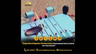 🚫🐜 Eliminate Cockroaches with One Roof Fumigation Cockroach Control Services 🐜🚫 [upl. by Essirehc]