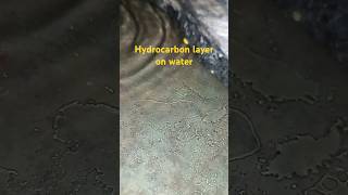 Hydrocarbon layer on water🔥youtubeshorts experiment science shorts [upl. by Jan]