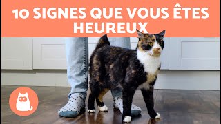 Comment savoir si mon CHAT est HEUREUX  🐱 10 signes [upl. by Grady]