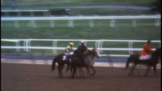 Triple Crown Winners Secretariat Seattle Slew and Affirmed [upl. by Saxela781]