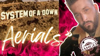 SYSTEM OF A DOWN “AERIALS” REACTION [upl. by Adali618]