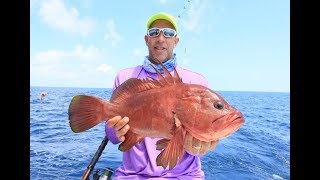 Awesome trip Offshore Fishing in Quepos Costa Rica [upl. by Adnylam632]