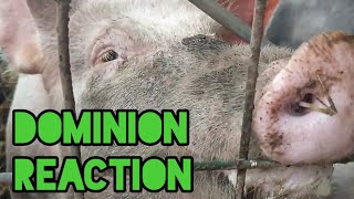 Dominion 2018 Reaction Vegan Documentaries [upl. by Unhsiv534]