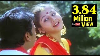 செம்பருத்தி செம்பருத்தி பூவைபோலே பெண்ணொருத்தி Semparuthi Semparuthi Poove Pole Pennerouthi Songs [upl. by Chobot]