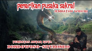 ANGKER  PENARIKAN PUSAKA SAKRAL JEMBATAN WIDURI PEMBATAS KOTA BONDOWOSO SITUBONDO [upl. by Denis]