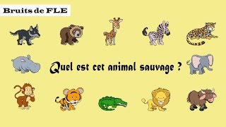 【Bruits de FLE】 Quel est cet animal sauvage [upl. by Meagan]