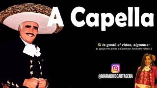 Vicente Fernández  Pasandola A Mi Manera A Capella [upl. by Lyell699]