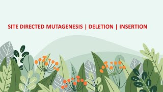 Site Directed Mutagenesis  Insertion  Deletion [upl. by Sherer]