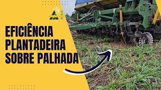 Eficiência da Plantadeira Sobre Palhada Como Ela Funciona [upl. by Pedro]