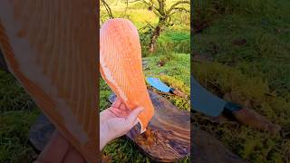 SALMON cooked and smoked over fireoutdoorcooking cooking asmr food chef salmon [upl. by Prentiss]