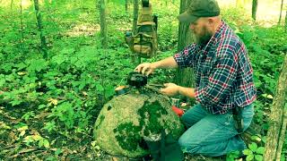 How I make White Pine Needle Tea [upl. by Cosimo]