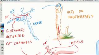 COVID19 Insights Bangladeshi Doctors Use A Drug Combo Successfully [upl. by Yellhsa]