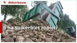 6 hectare suikerbieten rooien [upl. by Akere]