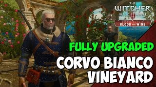 Witcher 3 Blood and Wine  Fully Upgraded CORVO BIANCO Vineyard Tour  Geralts Home [upl. by Naginnarb]