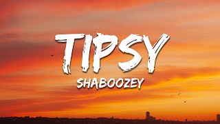 Shaboozey  A Bar Song Tipsy Lyrics [upl. by Aoniak]