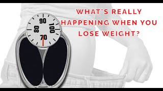 Whats REALLY Happening When You LOSE WEIGHT [upl. by Mathias]