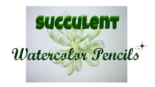 Watercolor Pencils  Succulent 水彩色鉛筆  乙女心 多肉植物 [upl. by Adnomal]