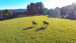 HORSEBACK RIDING like a COWBOY kinda [upl. by Avrom]