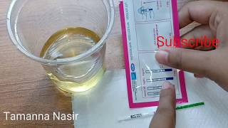 Pregnancy test at home with primary strip ঘরে বসে প্রেগনেন্সি পরীক্ষার সহজ উপায়। Tamanna Nasir [upl. by Eidnahs]