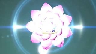 UD Creation  Lotus Animation quotChannel Introquot [upl. by Haneeja946]