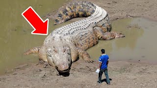 Man Finds Giant Crocodile in Distress – You Wont Believe What He Found Inside [upl. by Buell540]