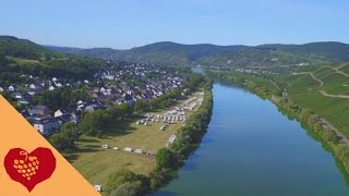 Brauneberg an der Mosel [upl. by Ailerua771]