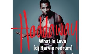 Haddaway  What Is Love Dj Harvie redrum [upl. by Leziar]