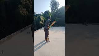 Viral Shot cricket cricketlover bgt cricketshorts viratkohli msdhoni jaspritbumrah pandya [upl. by Lyrem]