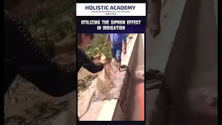 Utilization of the siphon Effect in Irrigation civilngineer holisticacademy shorts [upl. by Ezaria]