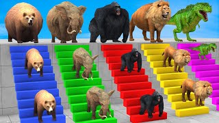 5 Giant Duck CartoonCowElephantLionTRex Paint Wild Animals Crossing Fountain Funny Cage Game [upl. by Lyrac]