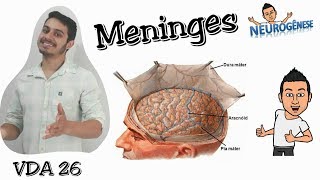 Meninges  Vídeo Aula 26 [upl. by Kind24]