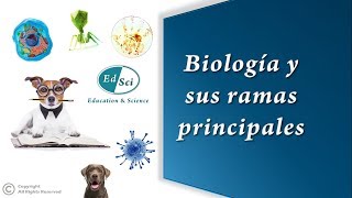 🆕🔝✳️ La Biología y sus ramas principales 🧫🦠🧬🌎☘️🐳🦀🐼 [upl. by Ansaev]