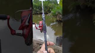 Review Daiwa Infeet casting Rod [upl. by Anovahs]