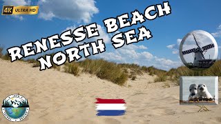 Sunny Day on the RENESSE Beach  Netherlands  North Sea  Zeeland  GoPro 11 amp iSteady Pro 4 [upl. by Vacla]