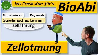 Zellatmung  Keywords und Grundlagen spielerisch lernen [upl. by Otit833]