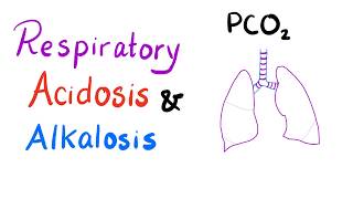 Respiratory Acidosis amp Alkalosis  AcidBase Imbalance [upl. by Eimmas]