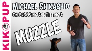 Learn About Fitting a Muzzle from Expert Michael Shikashio [upl. by Rafat]