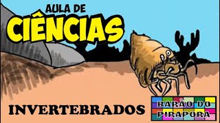 Aula de Ciências Animais Invertebrados [upl. by Aliam71]