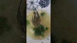 how to cook picorocos chile seafood viral santiagodechile usa mexico ceviche knifeskills [upl. by Seeto]