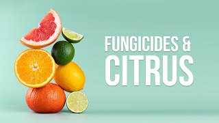 EWG Explains Fungicides and Citrus [upl. by Wolbrom878]