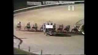 Moonee Valley trots 1996 [upl. by Lenoj]