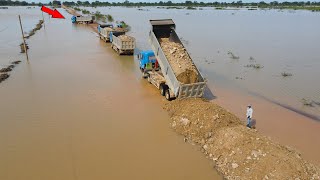 Nice Updating Using Bulldozer and Huge Dump Truck Working Building Road Long Crossing Flood [upl. by Ewen]