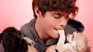 Noah Centineo Explores ASMR  W Magazine [upl. by Gnay468]