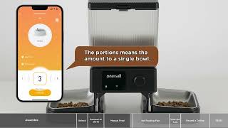 How to set oneisall WiFi cat feeder [upl. by Shaffer]