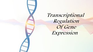 BIO Molecular  Transcriptional Regulation Of Gene Expression [upl. by Ricardo502]