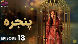 Pakistani Drama  Pinjra  Episode 18  Aplus Gold  Yumna Zaidi Nauman Aijaz  CZ1O [upl. by Eidderf]