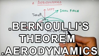 Mechanism of Flight in Birds [upl. by Dorr]