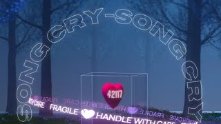 Dutchie Dinero  Song Cry Lyrics Video [upl. by Illib]