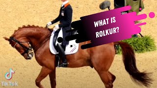 Dressage Contraversies What Is Rolkur [upl. by Strephon55]