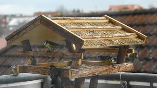 Die Vögel kommen  Gut besuchtes Vogelhaus [upl. by Namhar]